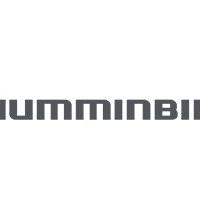 humminbird
